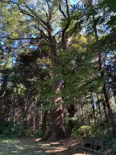 大宮神社(千葉県)