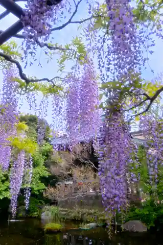 西新井大師総持寺(東京都)