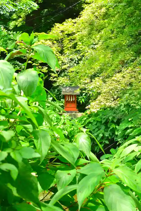 箱根神社(神奈川県)
