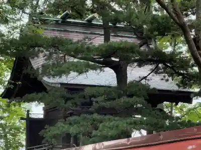 青森縣護國神社(青森県)