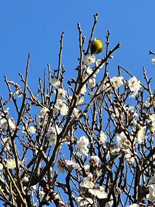 長谷寺(神奈川県)