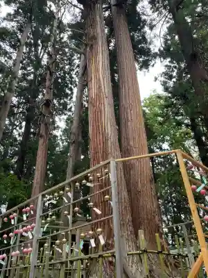 熊野大社(山形県)