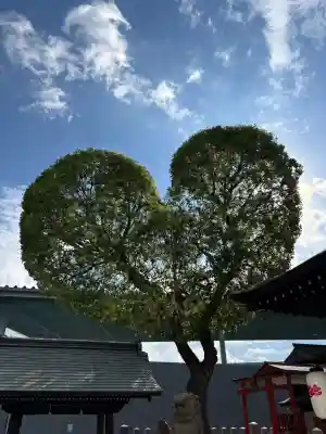 南宮宇佐八幡神社(脇浜神社)の{uncategorized: "未分類", other: "その他", undefined: "問題あり", building: "その他建物", grave: "お墓", sacred_gate: "鳥居", guardian: "狛犬", statue: "像", buddha: "仏像", history: "歴史", nature: "自然", garden: "庭園", animal: "動物", pagoda: "塔", temizu: "手水舎", mountain_gate: "山門・神門", sanctuary: "本殿・本堂", subordinate: "末社・摂社", art: "芸術", scenery: "景色", jizo: "地蔵", ema: "絵馬", goshuin: "御朱印", omikuji: "おみくじ", items: "授与品その他", amulet: "お守り", goshuincho: "御朱印帳", eats: "食事", festival: "お祭り", votive_dance: "神楽", shichigosan: "七五三参", wedding: "結婚式", experience: "体験その他", initially: "初詣", around: "周辺", anti_infection: "感染症対策"}