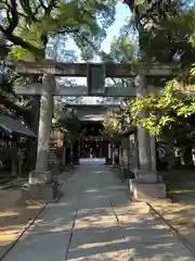 赤坂氷川神社(東京都)