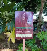 松林寺(千葉県)