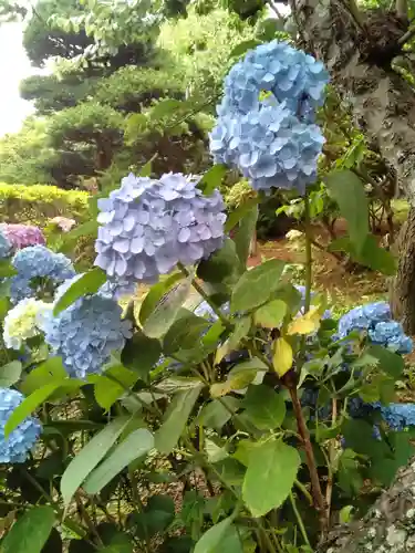 二十三夜尊 桂岸寺(茨城県)