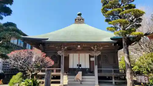 極楽寺（霊鷲山感應院極楽律寺）の本殿・本堂