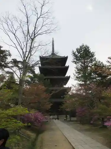 仁和寺の塔