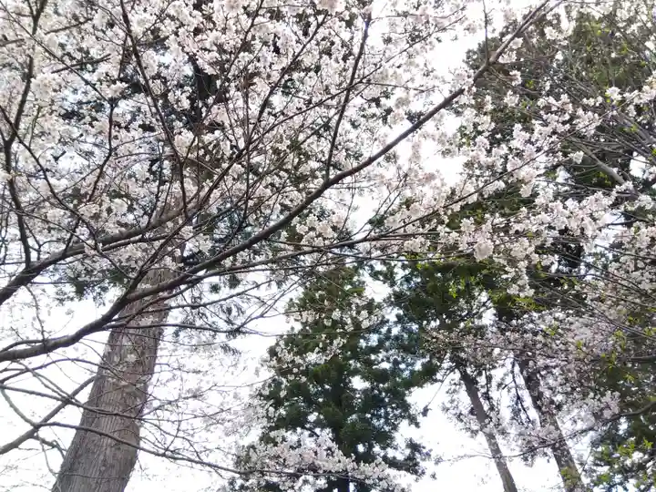 日朝寺(新潟県)