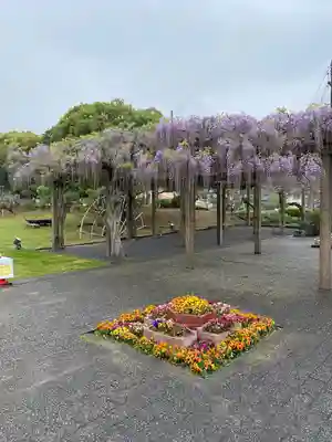 大山祇神社(愛媛県)