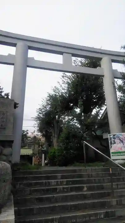 新宿下落合氷川神社の鳥居