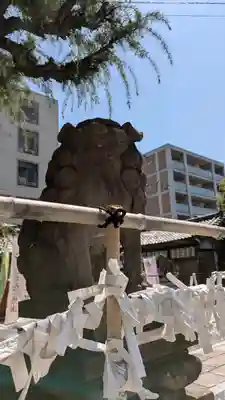 元祇園梛神社・隼神社(京都府)