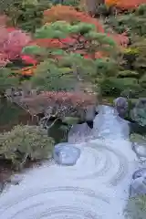 慈照寺（慈照禅寺・銀閣寺）(京都府)