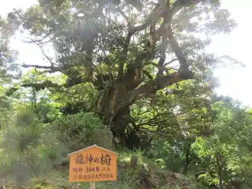 成相寺(京都府)