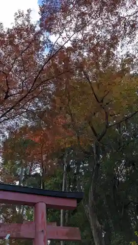 吉田神社(京都府)