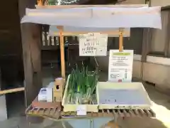 白鳥神社(香川県)