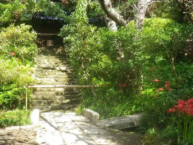 浄光明寺の自然