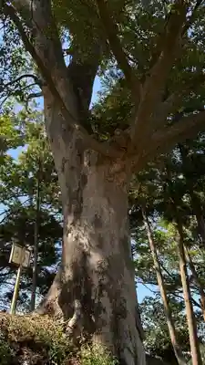 二俣神社(宮城県)