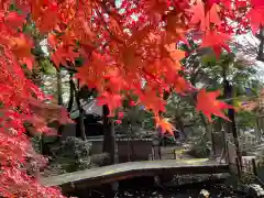 大正寺の自然