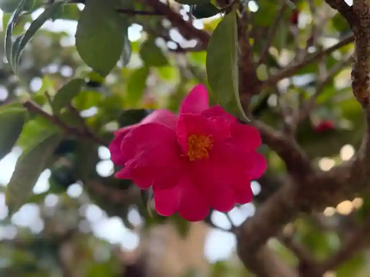 西方山極楽寺(岐阜県)