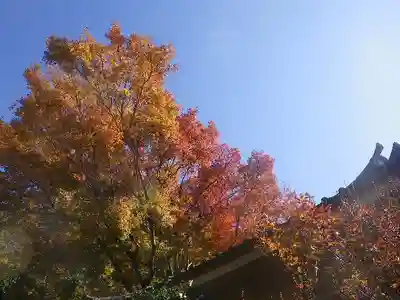 瑞泉寺のその他建物