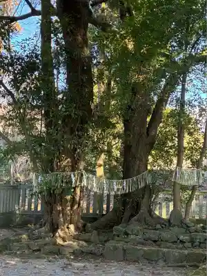 山宮浅間神社(静岡県)