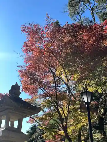 目の霊山　油山寺(静岡県)