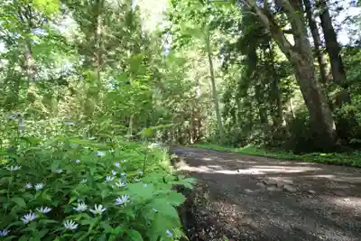 戸隠神社奥社(長野県)