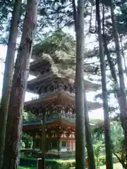 醍醐寺の塔