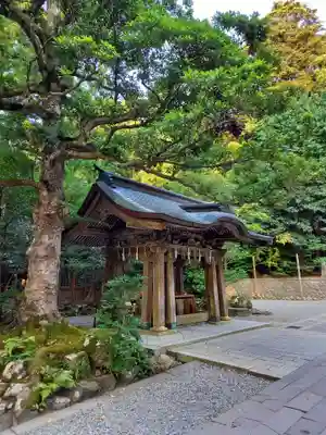 彌彦神社の手水舎