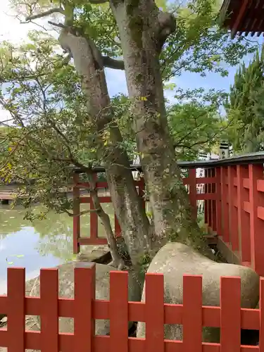 旗上弁財天社の自然