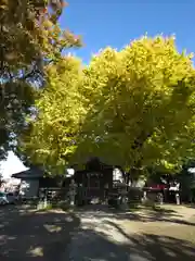 八幡橋八幡神社(神奈川県)