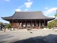 知恩院(京都府)