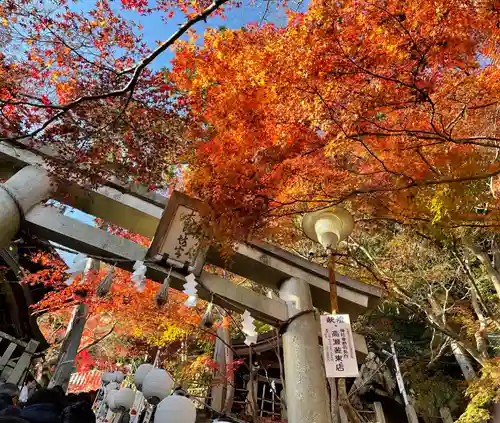 阿賀神社の鳥居