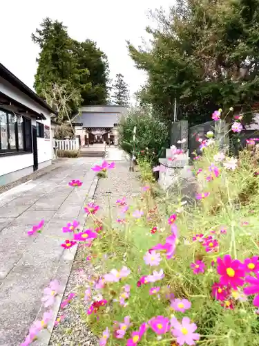 祖母井神社(栃木県)