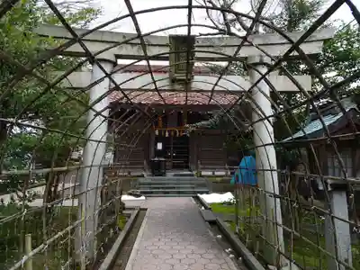松尾神社の鳥居