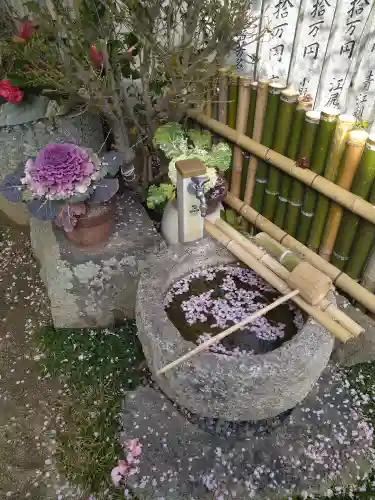 観照寺の手水舎