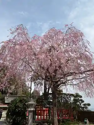 太平山神社(栃木県)