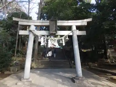 世田谷八幡宮の鳥居