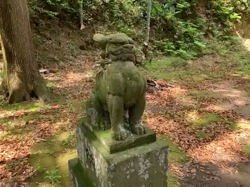 熊野神社の狛犬