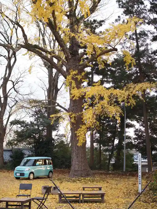 天王山 安楽寺(福井県)