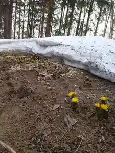 八幡神社(北海道)(2023年03月30日(木) 14時47分54秒投稿)
