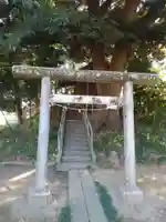 篠津久伊豆神社(埼玉県)