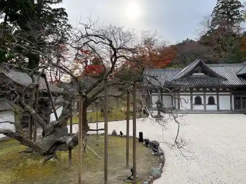 瑞巌寺(宮城県)