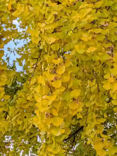仙寿院(東京都)