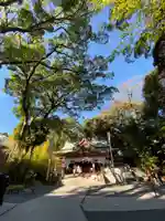 來宮神社の自然