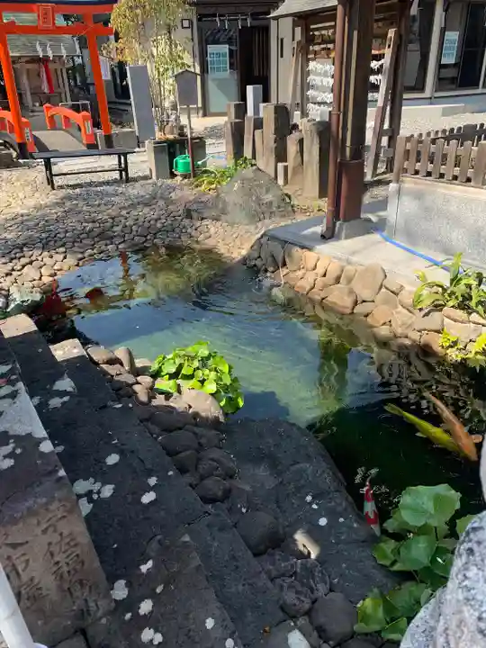 薫的神社の動物