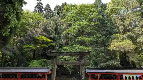 宇佐宮弥勒寺跡の鳥居