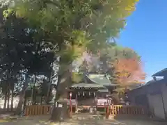 天縛皇神社の本殿