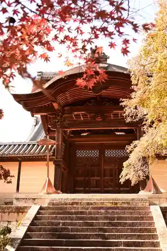 光明寺（粟生光明寺）(京都府)